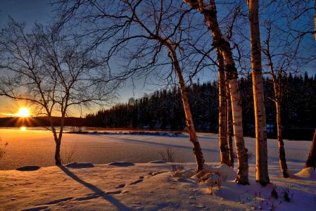 日落, 冬季景观, 暮光之城, 自然, 颜色, 树木, 反对的一天