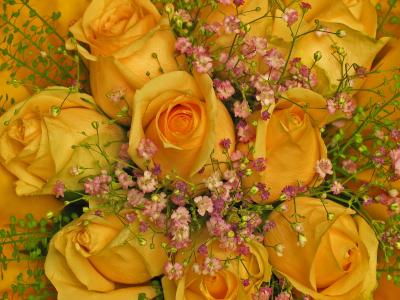 花束, 生日问候, 玫瑰, 花, 黄色, 花店, 祝贺
