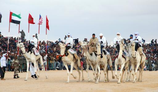 突尼斯, 骆驼赛跑, douz, 贝都因人, 动物, 人
