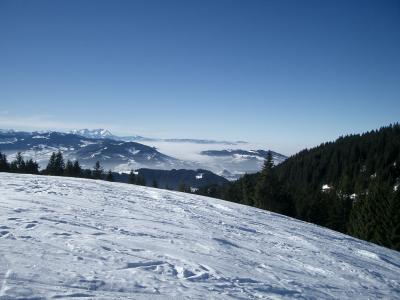 福拉尔贝格, 冬天, 雪, 视图, 康斯坦茨湖, hochaedrich, 越野滑雪