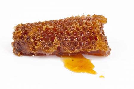 蜂窝状, 蜂蜜, 蜜蜂, 自然, 授粉, 养蜂业, 宏观