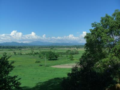 景观, vista, 绿色, 山脉, 远离, 罗马尼亚, 地平线