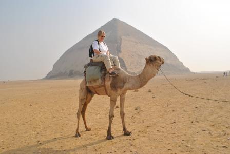 骆驼, 金字塔, 旅游信息