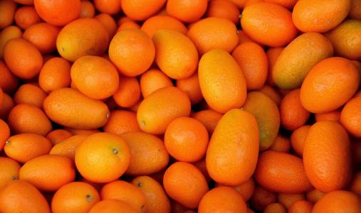 水果, 橙色, 金橘, 左未经处理, 市场, 采购, 健康