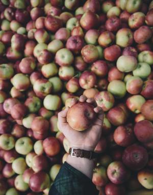 苹果, 苹果, 苹果园, 健康, 水果, 食品, 红色