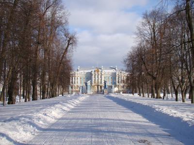 宫殿合奏 tsarskoe selo, 俄罗斯, 小巷, 树木, 宫, 路雪, 冬天