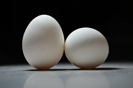 鸡蛋, 鸡蛋, 复活节, 白色, 的鸡, 焦点, bw