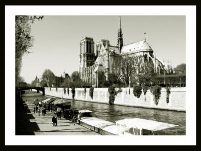 巴黎, 法国, 纪念碑, 建筑, 桥梁, 塞纳河, 遗产