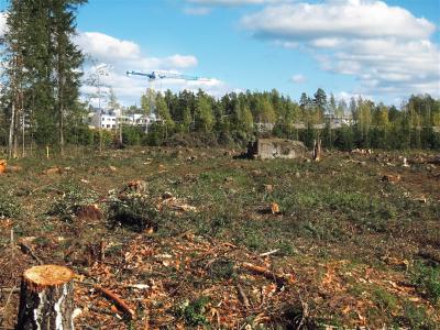 砍伐, 建设, 郊区, 赫尔辛基, 芬兰, 环境, 砍伐森林