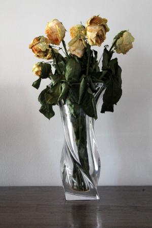 花瓶, 花, 上升, 叶子
