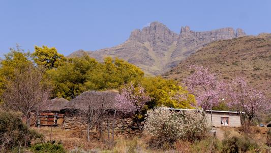 莱索托, 山风景, 桃花开, 景观, 自然