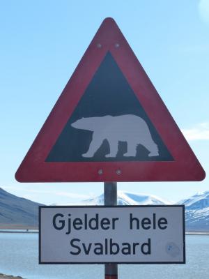 北极熊, 警告, 斯匹次卑尔根群岛