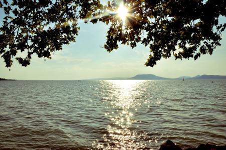 夏季, 巴拉顿湖, 水, 阳光, 自然, 海, 日落