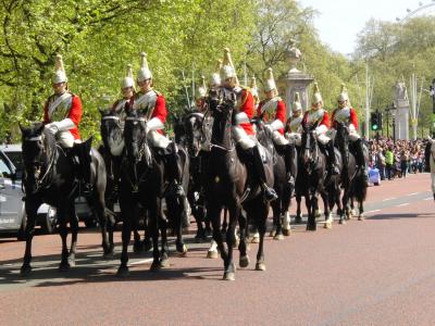 骑兵, 伦敦, 卫兵的变动, 马, 英国, 白金汉宫, 英格兰