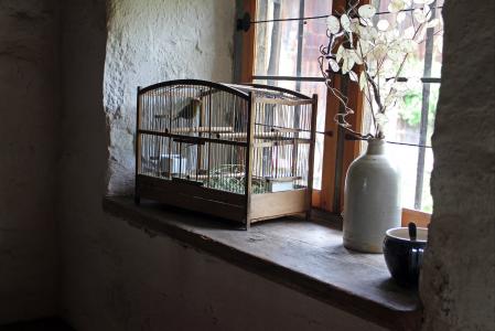 鸟笼, 笼子里, 窗台, 鸟, 被囚禁, 怀旧, 心情