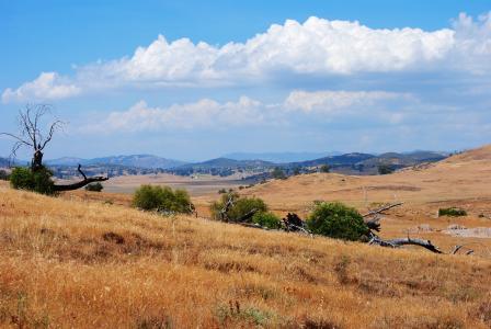 草原, 圣地亚哥, 拉霍亚, 加利福尼亚州, 景观, 自然, 风景