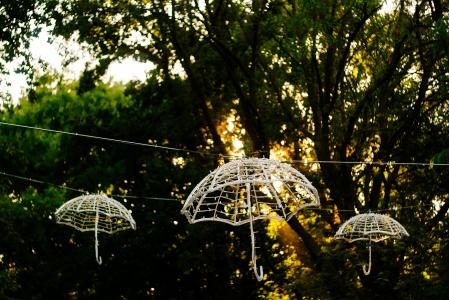 遮阳伞, 光链, 装饰, 花园, 晚上, 日落, 树木