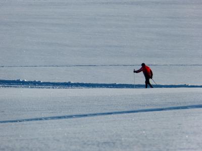 雪, 线索, 越野滑雪, 冬天, 体育, 白色