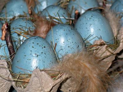复活节彩蛋, 复活节的巢, 复活节, 复活节彩蛋, 春天, 装饰, 多彩