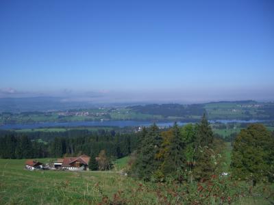 rottachsee, 湖, 前景, binzen, ellegghoehe, 阿尔高, 绿色