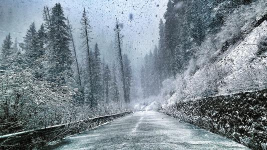 冬天, 大雪, 道路, 雪, 自然, 户外, 景观