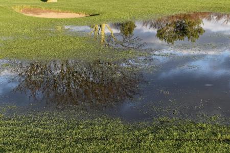 高尔夫, 球场水浸, 水, 反思, 课程, 景观, 洪水
