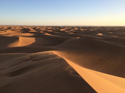 沙漠, 沙丘, 沙子, 沙丘, 自然, 干, 景观
