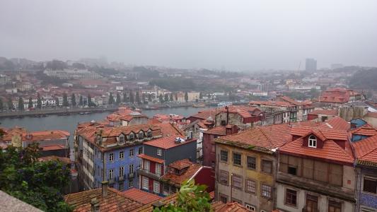 葡萄牙, 波尔图, 建筑, 雾, 屋顶, 小镇, 建筑