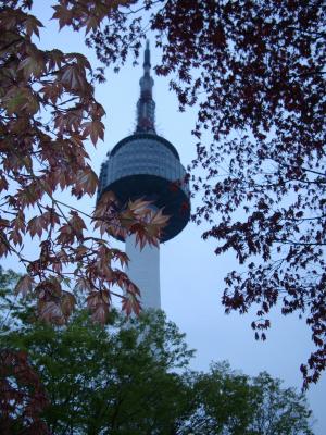 首尔南山塔, 韩国, 汉城, 公园, 具有里程碑意义, 秋天