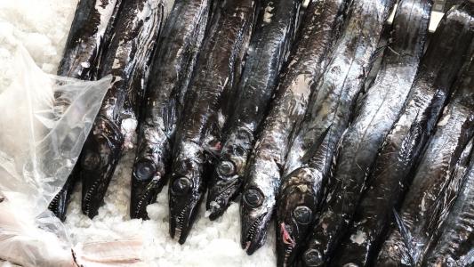 鱼, 冰, 食品, 海鲜, 黑鱼, 黑色, 市场
