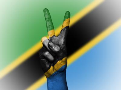 坦桑尼亚, 和平, 手, 国家, 背景, 旗帜, 颜色