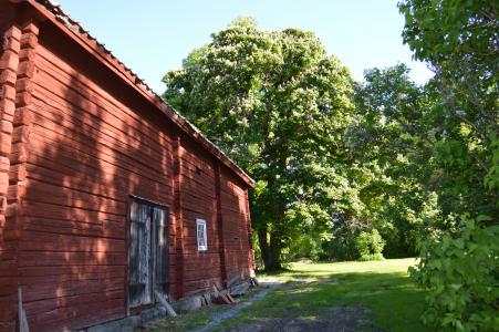 木材小屋, 红房子, 夏季, 老房子, 小屋, 房子, 木材