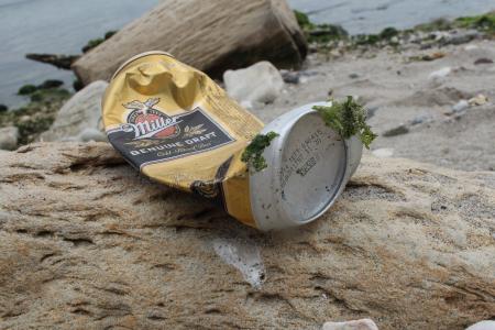 啤酒罐, 海洋, 废物, 青苔