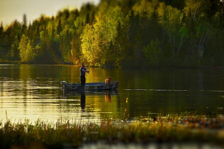渔夫, 湖, 景观, 水, 树, 狗, 魁北克省