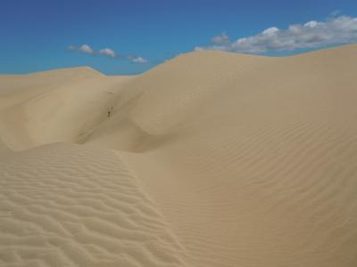 沙丘, 沙子, 沙漠, 自然, 沙丘, 夏季, 户外