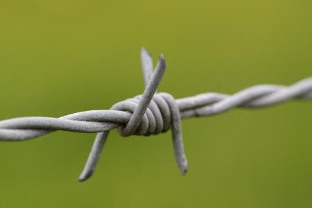 带刺的铁丝网, 指出, 电线, 风险, 栅栏, 金属, 荆棘