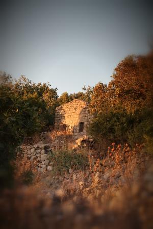 ramtaniya, 戈兰高地, 以色列, 荒废的废墟, 村庄, 鬼城, yahudia