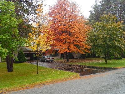 秋天, 前院, 橙色, 黄色, 叶子, 叶子, 车道
