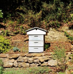 蜂巢, 养蜂, 花园, 蓝蜂巢, 养蜂人, 蜂巢, 蜜蜂
