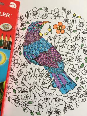 着色, 铅笔, 绘图, 多彩, 颜色, 创意, 颜色