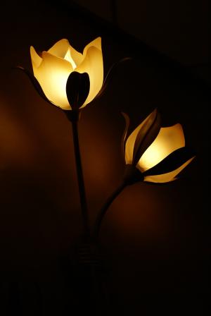 灯, 花, 光, 灯具, 照明, 黑暗, 壁灯