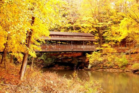 桥梁, 廊桥, 秋天, 秋天, 叶子, 黄色, 风景名胜