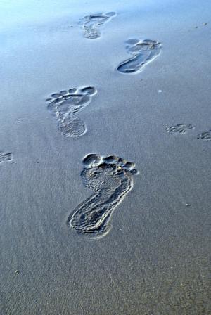 脚步声, 沙子, 痕迹, 赤脚, 足迹, 海滩, 步行