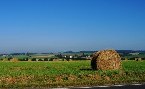 稻草, 稻草, 草甸, 天空, 蓝色, 贝尔, 农业