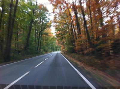 道路, 秋天, 速度, 巷道, 驾驶一辆车, 驱动器