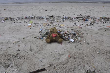 污染, 玩具熊, 海滩, 垃圾, 垃圾, 垃圾转储, 填