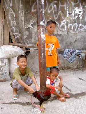 印度尼西亚, 儿童, 贫民窟, 韩吉洙, 贫困, 亚洲, 戏剧