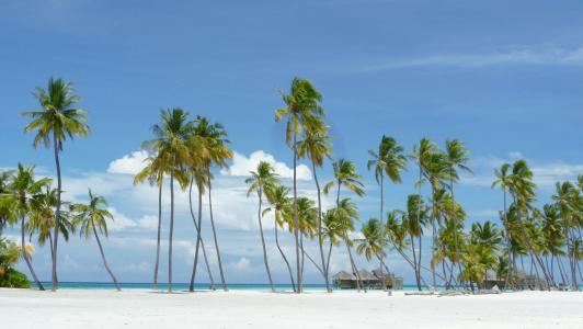 马尔代夫, 海岛天堂, 海滩, 假日, lankanfushi