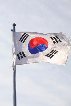 朱莉娅. 罗伯茨, 北山顶旗, 国旗, 韩国, 大韩民国, 韩国国旗, 韩国国旗