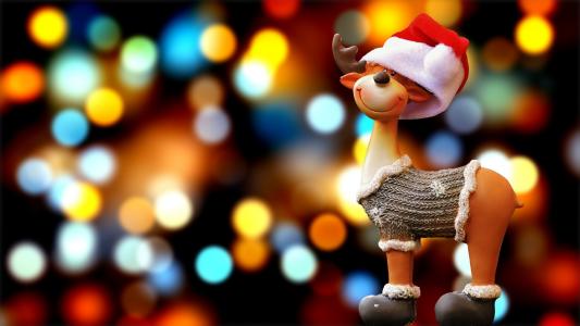 驼鹿, 圣诞节, 圣诞主题, 驯鹿, 冬天, 装饰, 来临